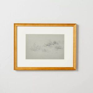 12x16 Desert Sketch Framed‎ Wall Art - Hearth & Hand Magnolia,  Target 2024